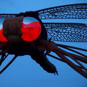 Dragonfly sculpture